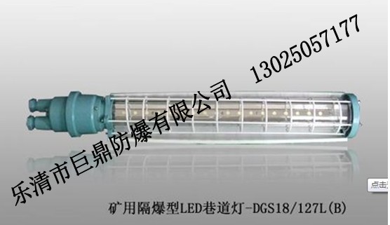 DGS20/127LV÷,127V,VLED