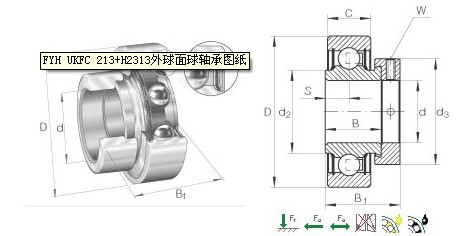 6008-2RS1SS