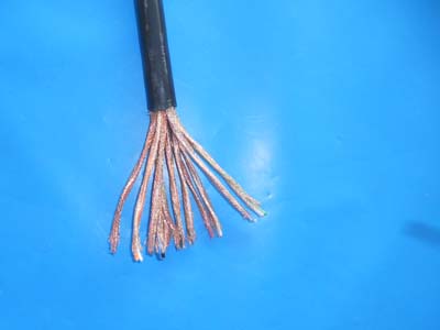DJFP2F 2*2*0.5ӋC| |