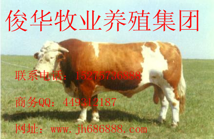 RmB(yng)ֳʲôţ