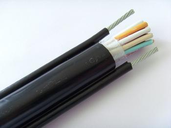 ZR-CEFRȼ|ZR-CEFR2*1+1*1r