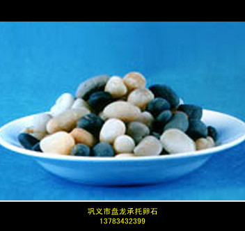 㽭ʯrʯSGʯ