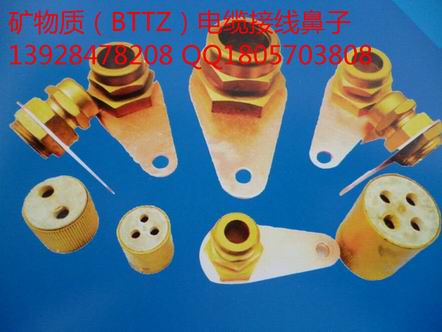 BTTZV||^ 늹BTTZ1X95V||^aS