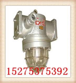 VN DGS36V÷ɹ	