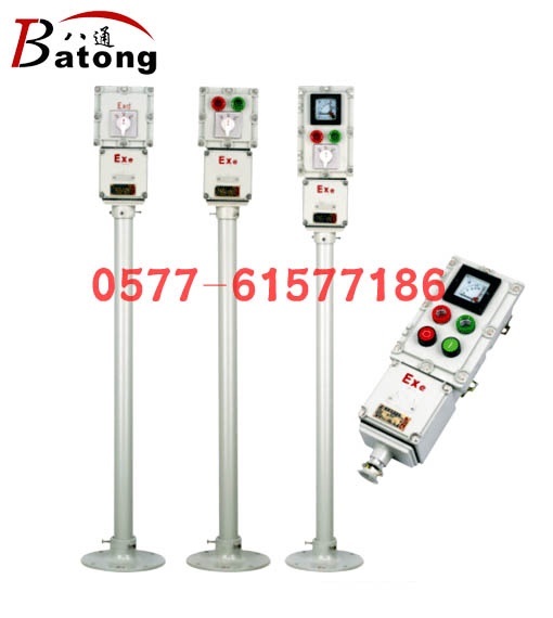 BZC51-A3D3G 200X135X110