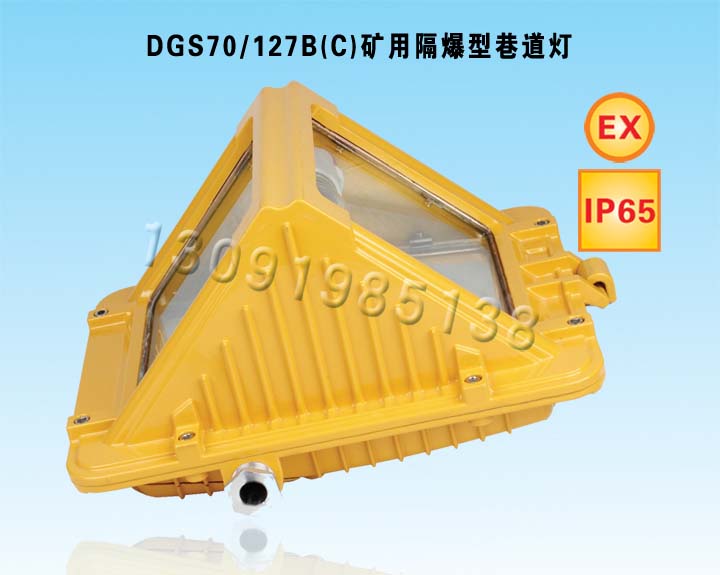 DGS70/127B(C)Vø40W