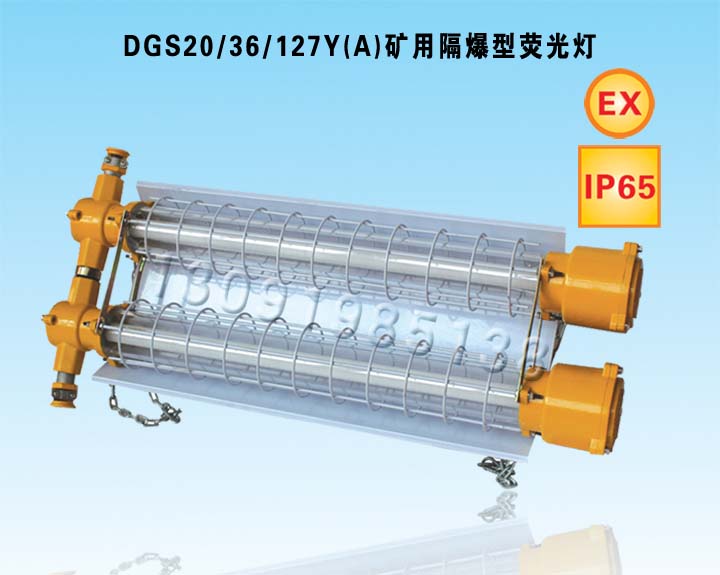 DGS36/127Y(A)Vø͟ɹɹ36W