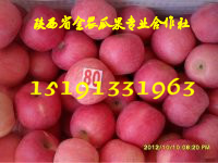 tʿOa(chn)؃r(ji)