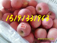 tʿO؃r(ji)