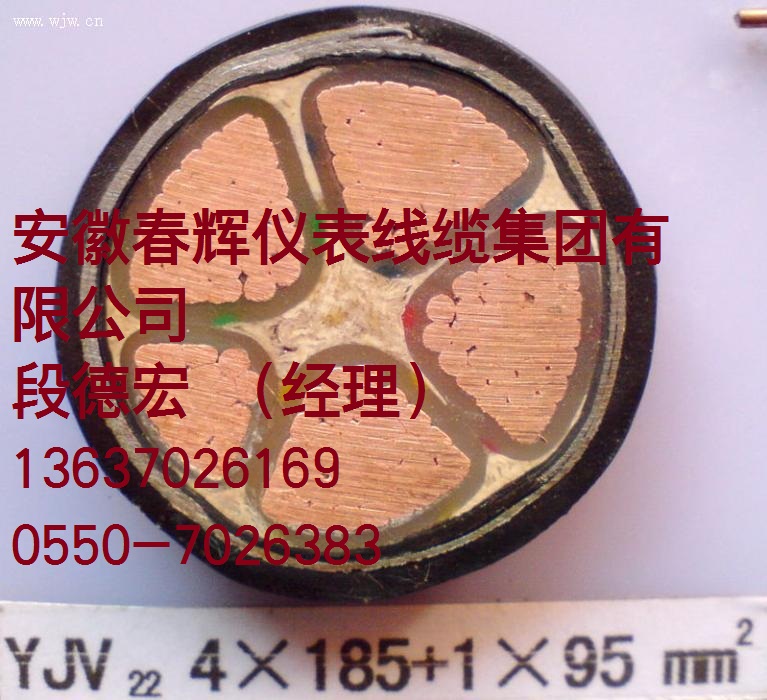 (ZR)-FV22zbߜ|
