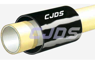 տs
