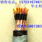 -(bio)DJYPVP-22ӋC| 1*2*1.0