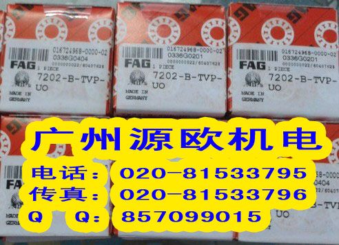 VԴWNMSSL045009-PP