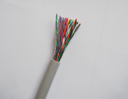 CAT-5E10*2*26AWG󌦔|-lݔWj|