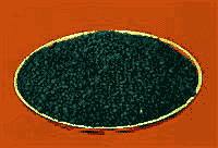 iɰVһ׷SoԹo