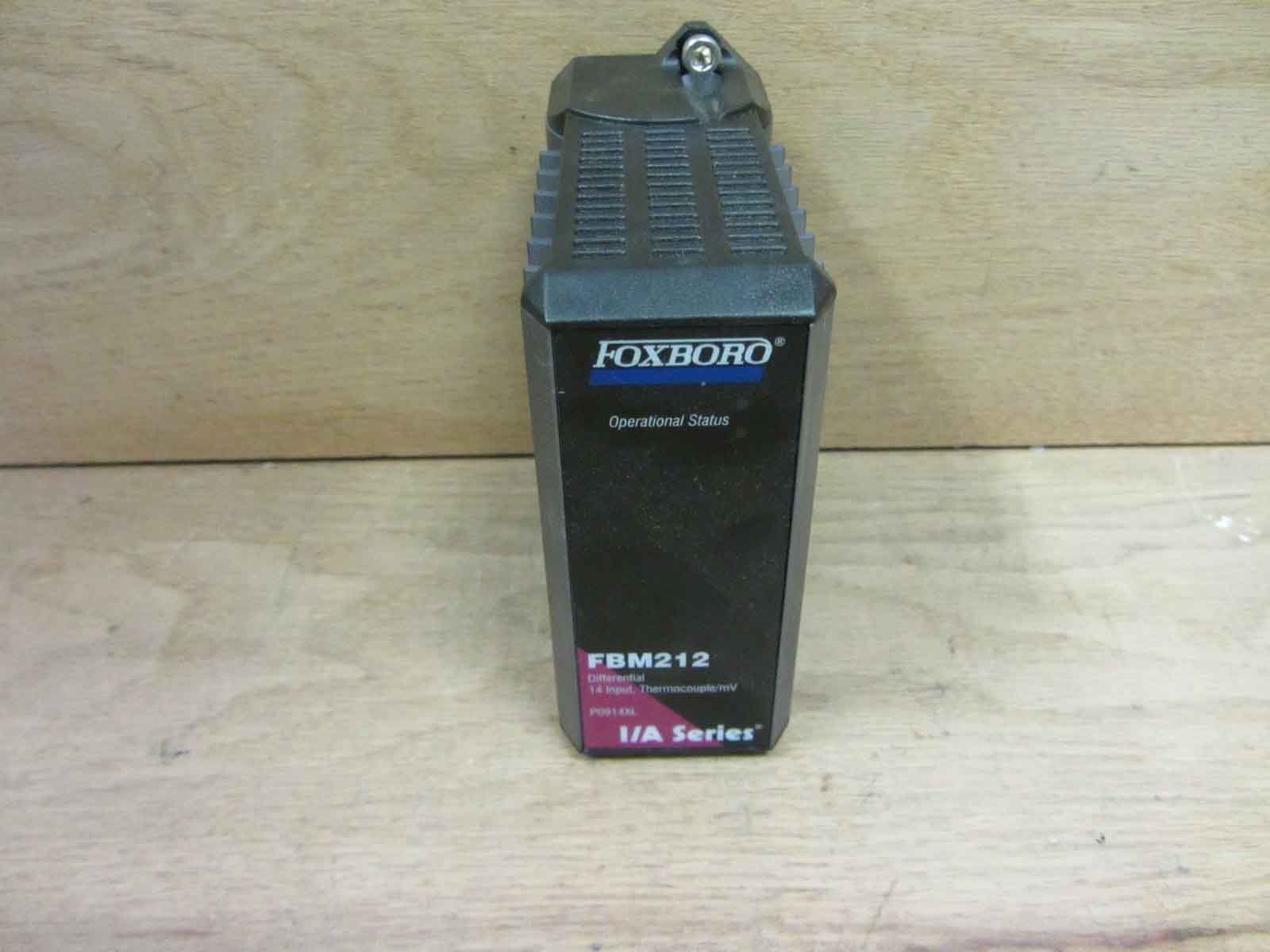 Foxboro FBM215̓r