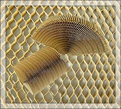 Cо