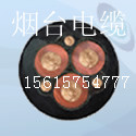 _|YC3*25+2*10