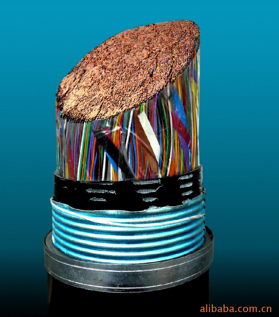 RS485ͨ||RS485 2X24AWG