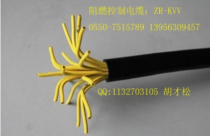 ZR-KVV22ZRC-KVV22ϩoȼzb|
