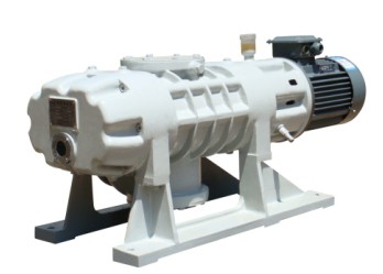 ZJ-300_ձ