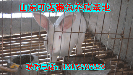 KʡǿhЫHB