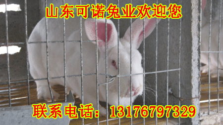 KʡɽЫHBֳ
