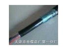 HYA53 䓎zbͨ|