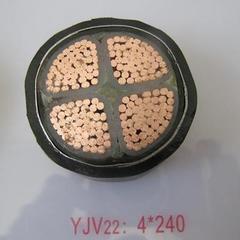 PZYA23-12CF·̖|