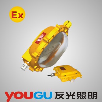 GBFE8120 (ni)(chng)(yng)