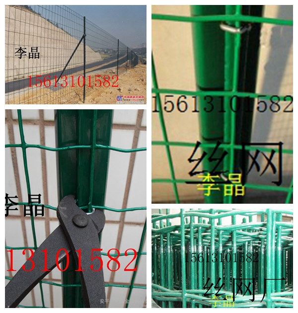 ̶Ȧ؇W(wng)||(yng)2׸߇ھW(wng)zW(wng)S|F(xin)؛؛|