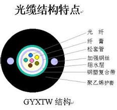 |GYXTW̓rN