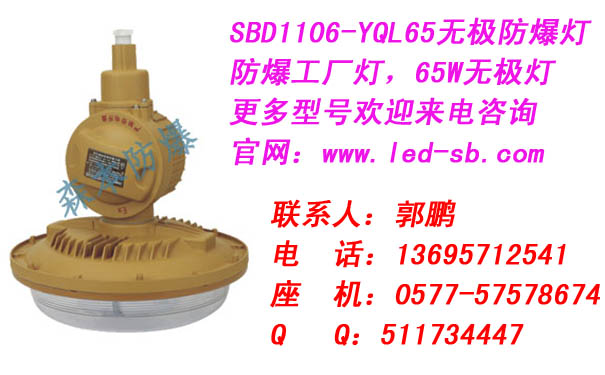ɭSBD1106-YQL65oOվ65W늴ŸБ(yng)