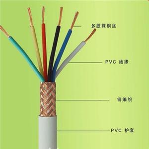 RVVP1~оԴɫܛ~W|C