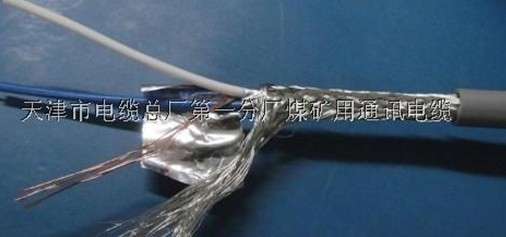 RS485(2*0.75)