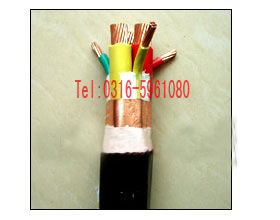 ZRC-YJV22 䓎zbȼ|