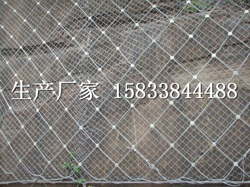 䓽zKW,ӹ䓽zKW,䓽zKW