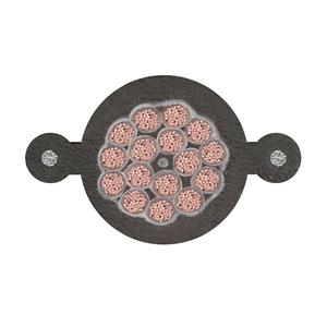 TVR-450/750V-10*2.5|