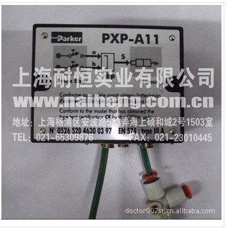 PXP-A11PS1-E11_PTLK-C15A1-4C