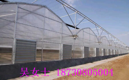 ƽhA紲W(wng)S