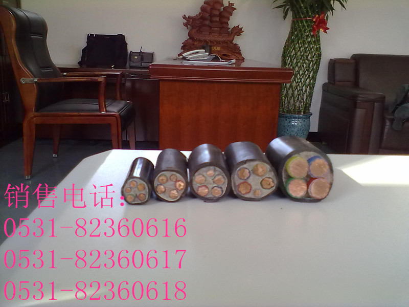 ̩|ZRYJV4*50+1*25|r̩|F(xin)؛