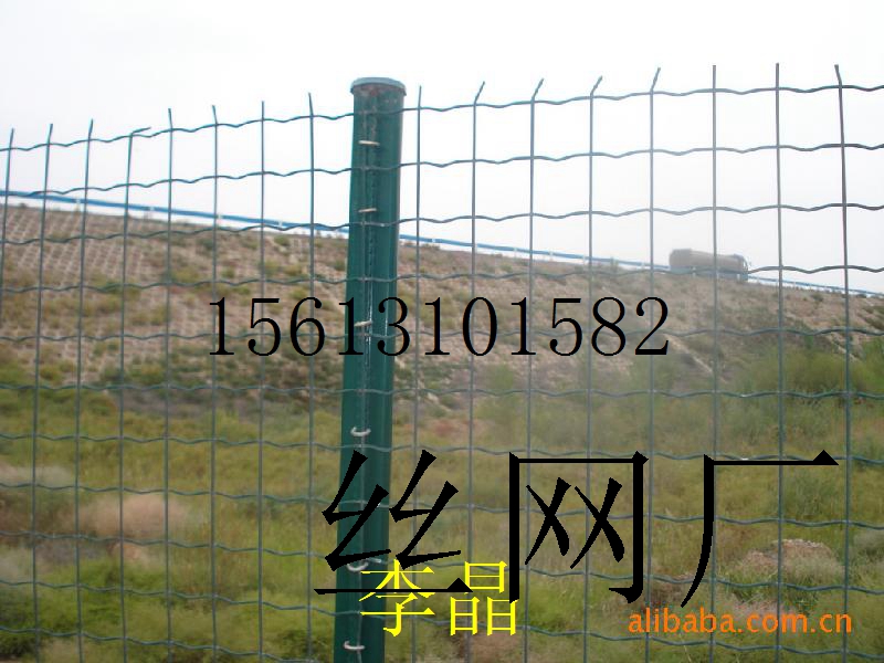 SҬF(xin)؛ֱl(f) KB(yng)ֳmW(wng)5*10ȦB(yng)umW(wng)I(y)ڡ