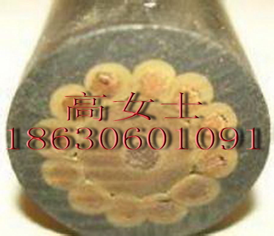YZ(gu)(bio)|3*2.5X(qin)һ