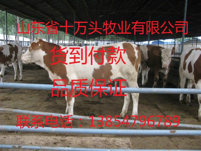 Rţărô