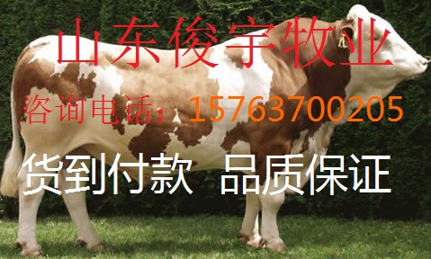 RţһֻX