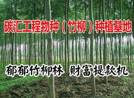 l(xing)B(ti)h(hun)Ml(xing)彛(jng)l(f)չ-ЇW(wng)-