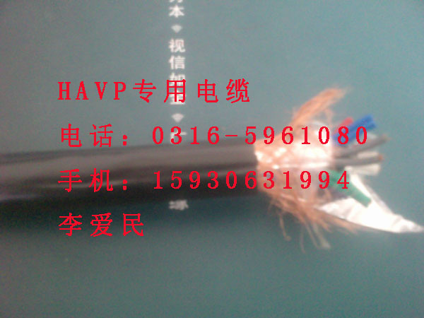 KVVP2|,|KVVP2,ο|KVVP2