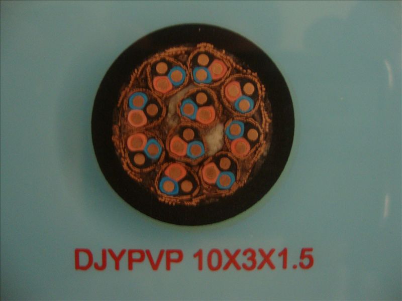 DJVVP/ӋCx̖|