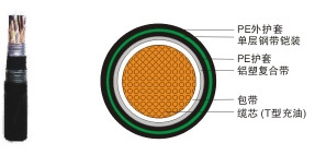 ͨ|CPEV