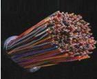 HYA-10020.7r